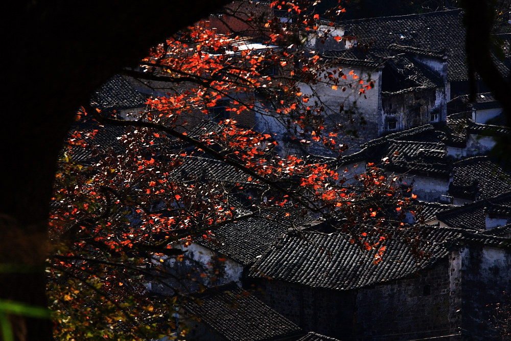 dpp_0726.jpg