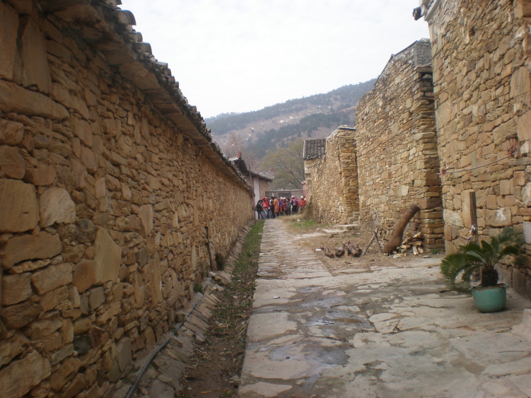  (2) pc250048.jpg