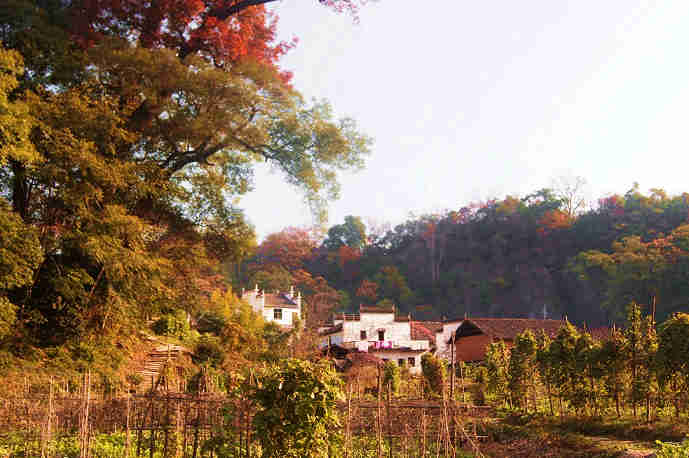 191.jpg