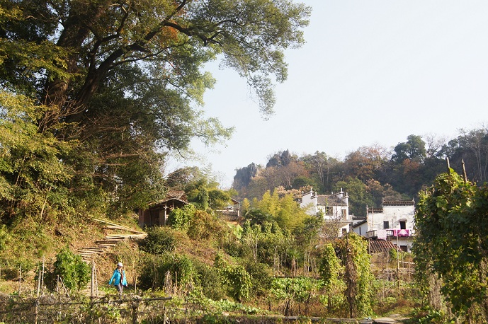 190.jpg