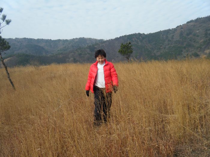dscf2717.jpg
