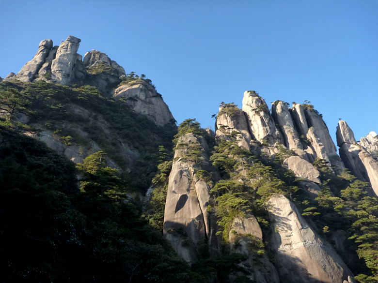 p1090990_.jpg