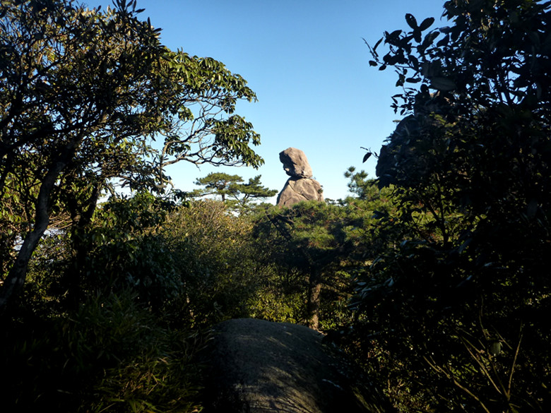 p1090991_.jpg