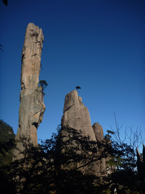 p1090995_.jpg