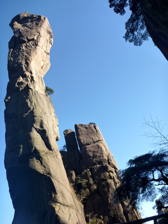 p1090999_.jpg