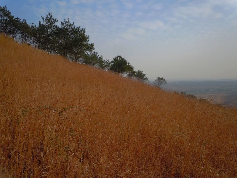 2011 018.jpg