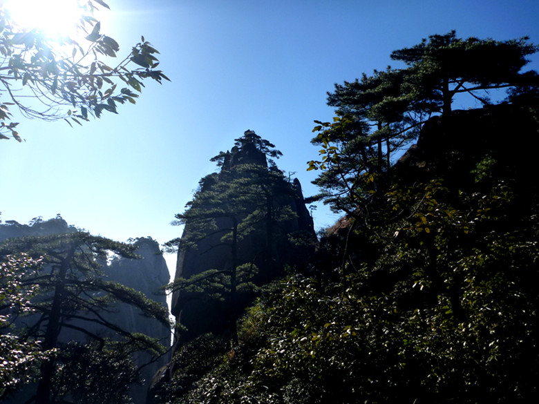 p1100017_.jpg