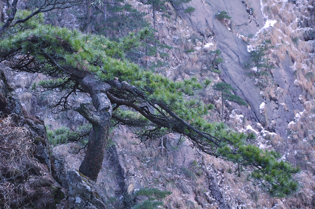 dsc_0481.jpg