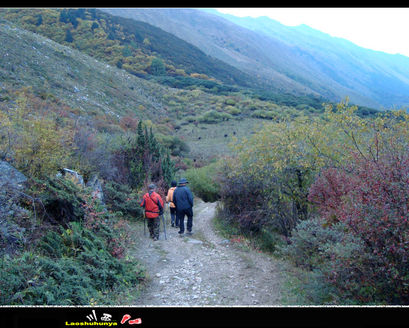 dsc09486.jpg