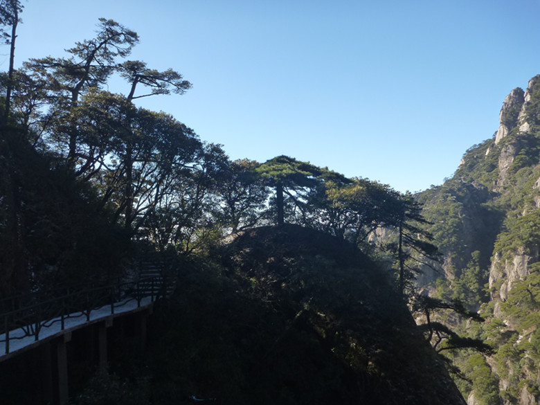 p1100084_.jpg
