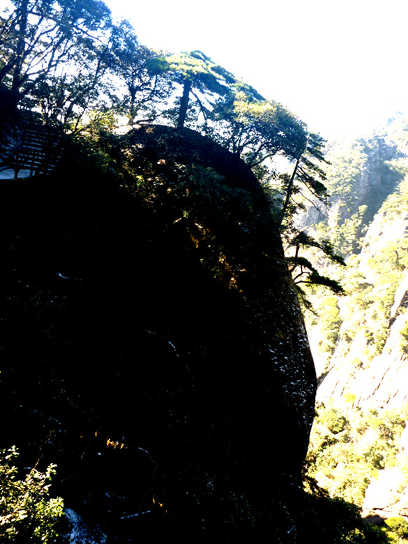 p1100085_.jpg