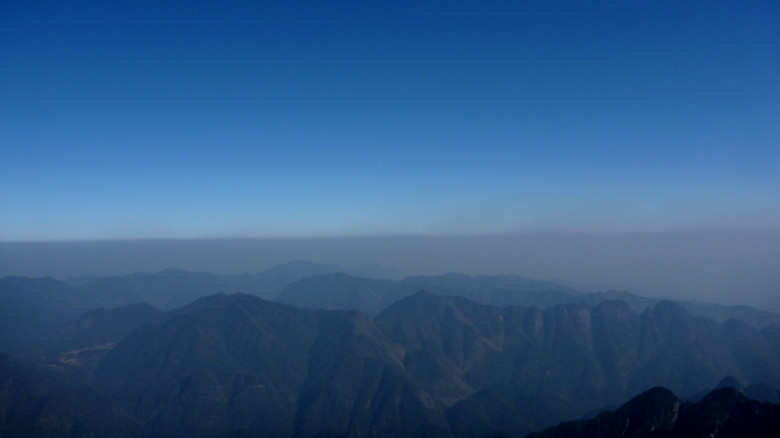 p1100110_.jpg