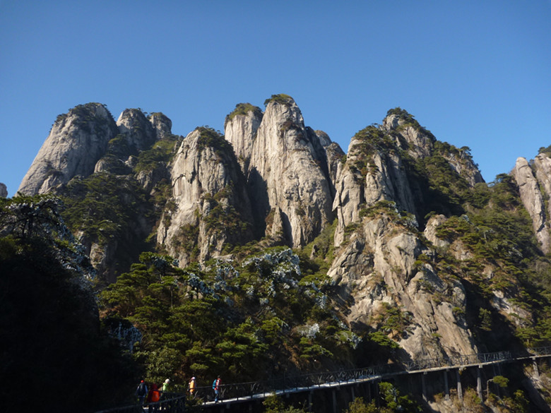 p1100119_.jpg