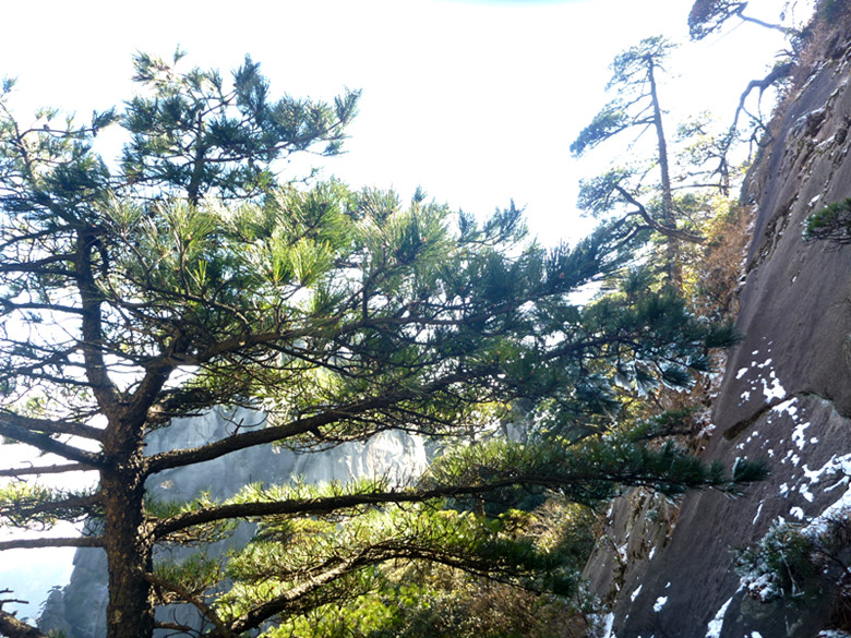 p1100098_.jpg