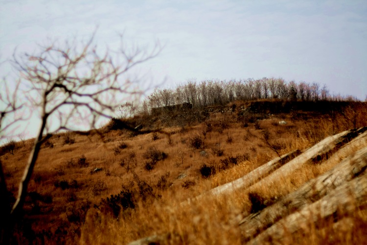 _mg_9765.jpg
