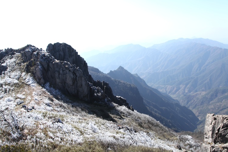 img_4116.jpg