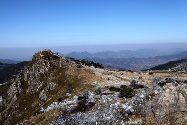 img_4122.jpg