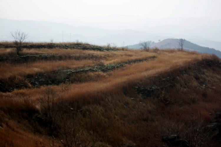 _mg_9751.jpg
