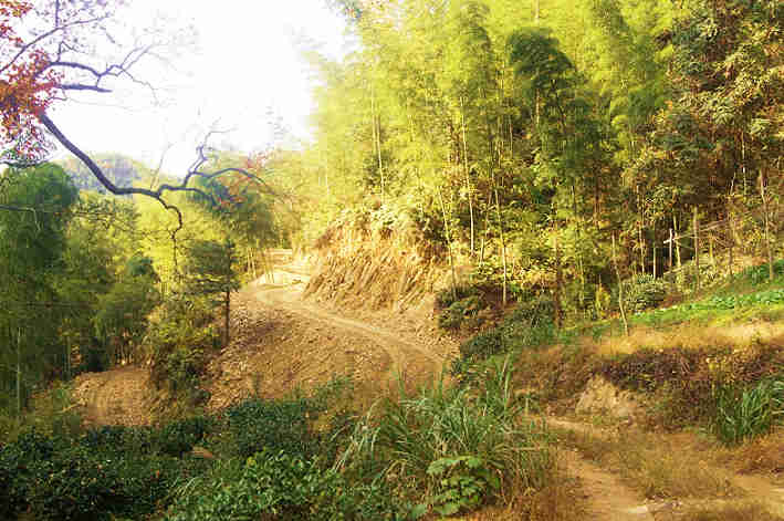 196.jpg