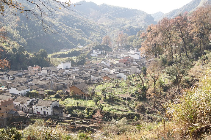 199.jpg