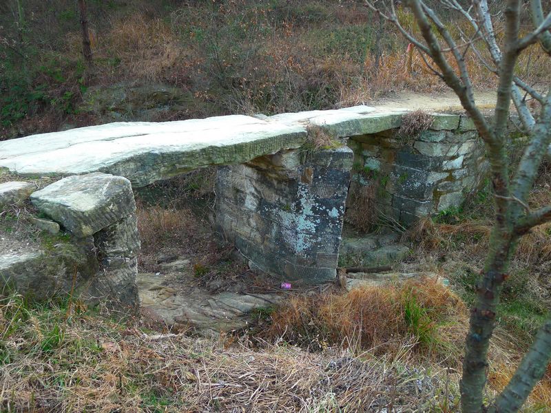 p1160636.jpg