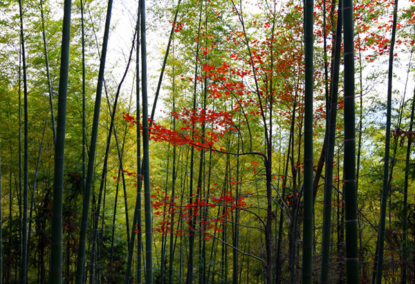img_8798+1.jpg
