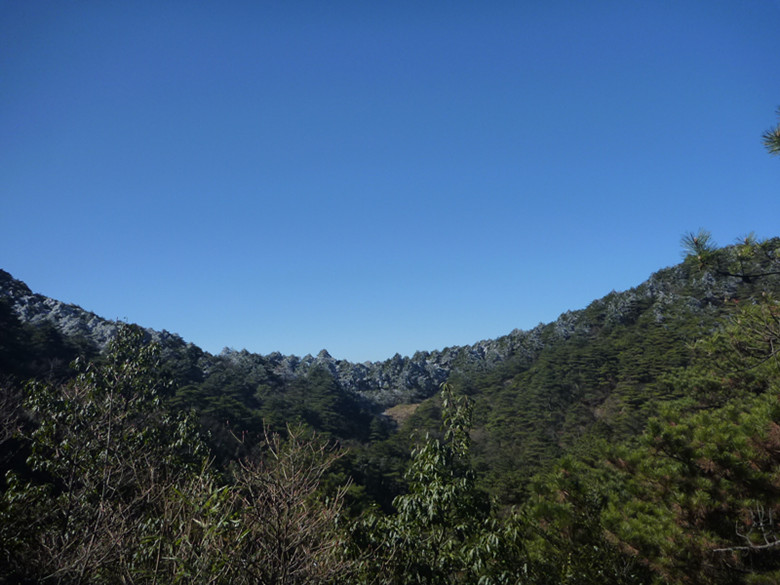 p1100148_.jpg