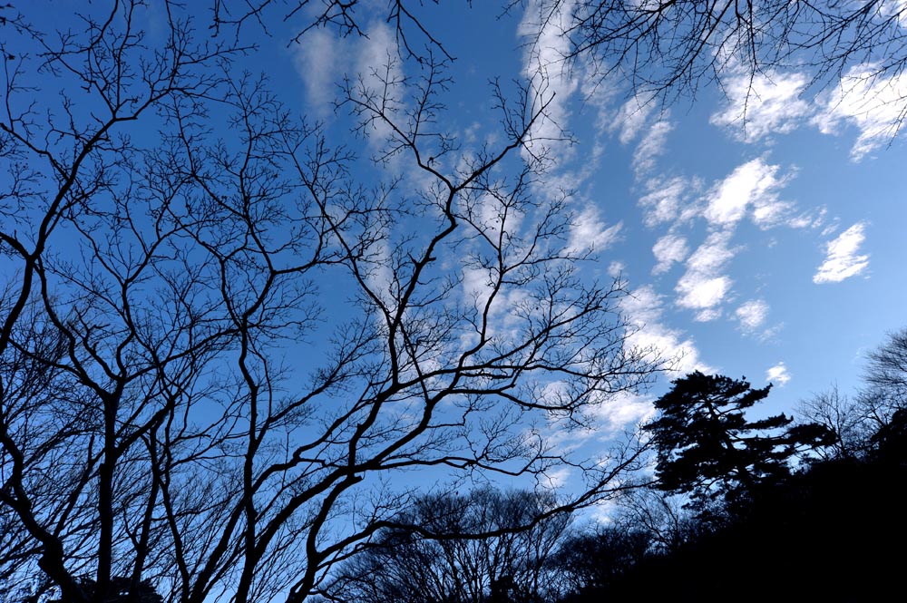 dxh_6083.jpg