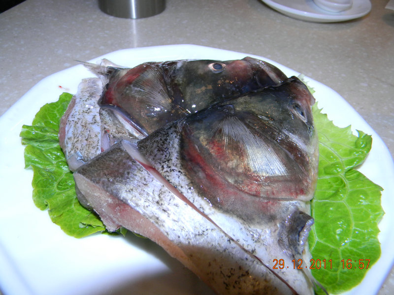 dscn2429.jpg