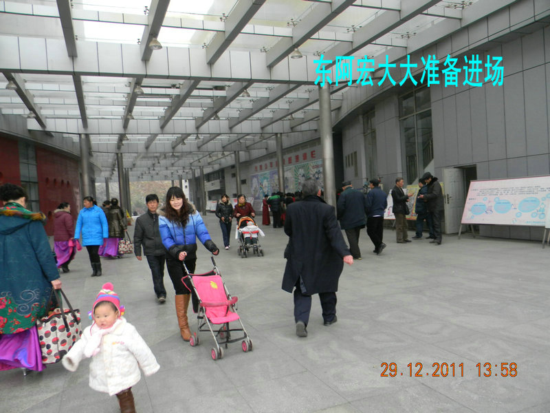 dscn2375.jpg