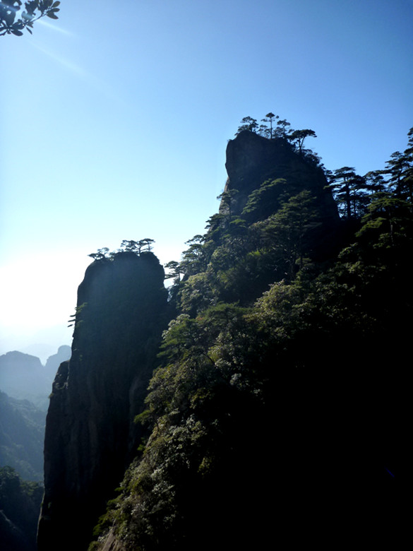 p1100184_.jpg
