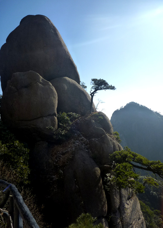p1100205_.jpg