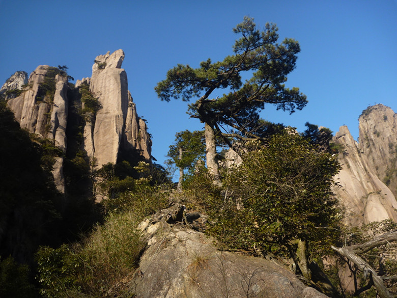 p1100228_.jpg