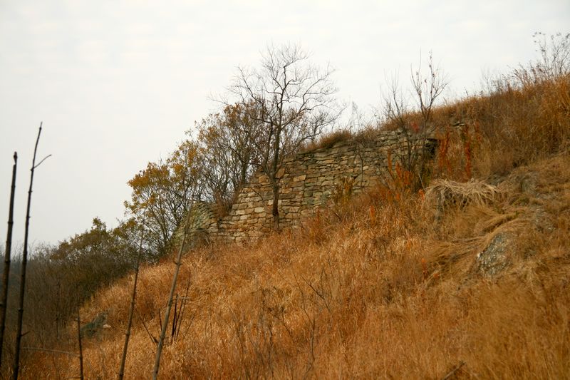 img_7971.jpg