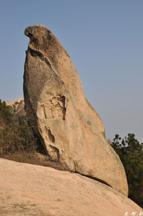 dsc_3338.jpg
