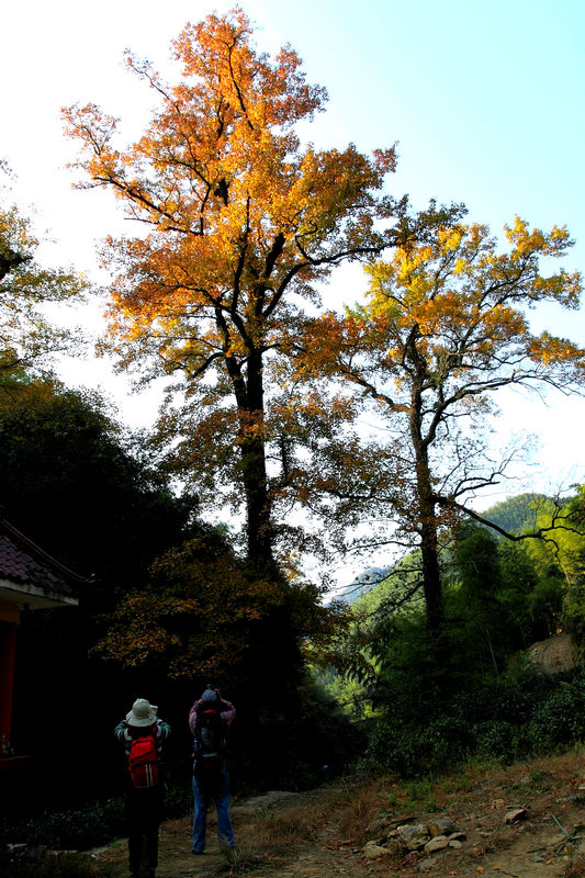 dpp_0229.jpg