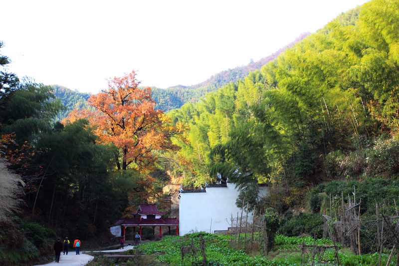 dpp_0219.jpg