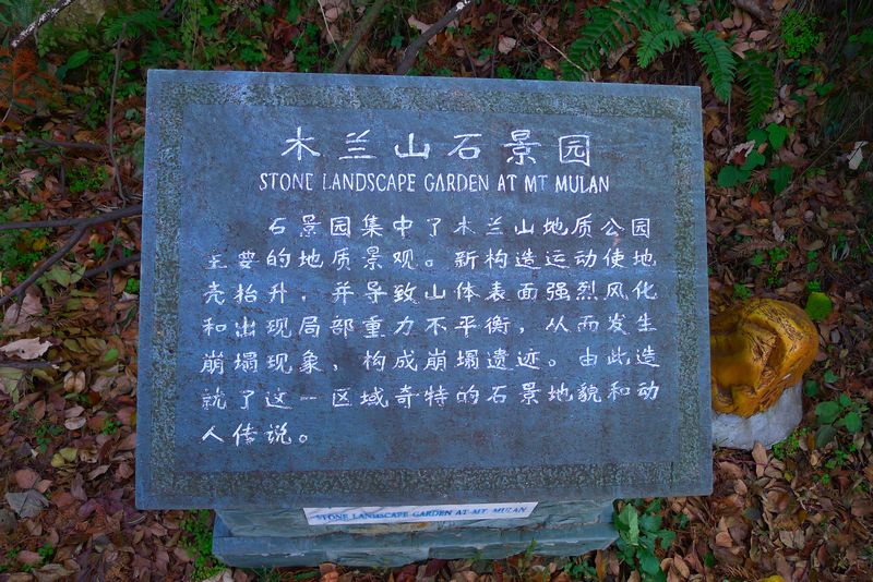 p1150315.jpg