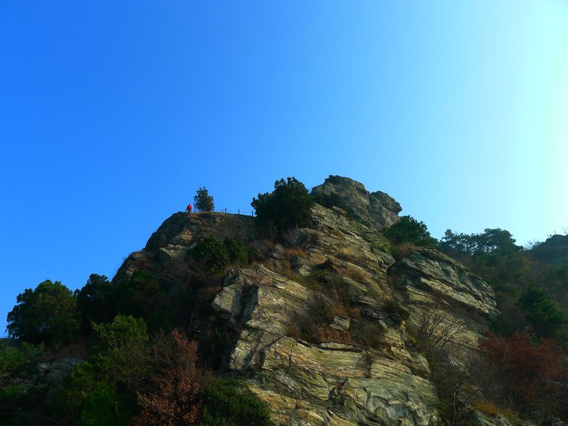 p1150332.jpg