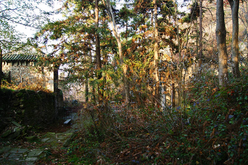 dsc01839.jpg