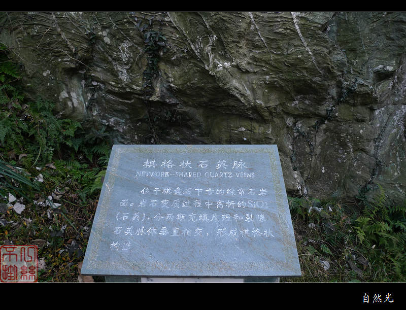 l1260528.jpg
