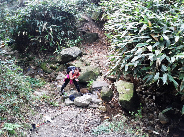 img_20111127_124159.jpg