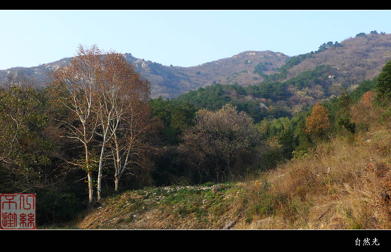 l1260815.jpg