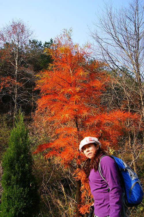 dsc01911.jpg