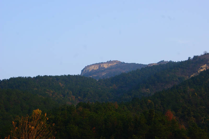 dsc02010.jpg