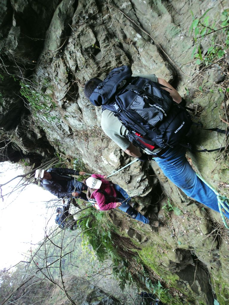 dsc03316.jpg