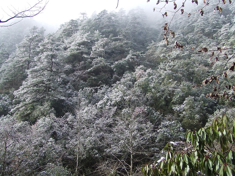 dscf0229_.jpg