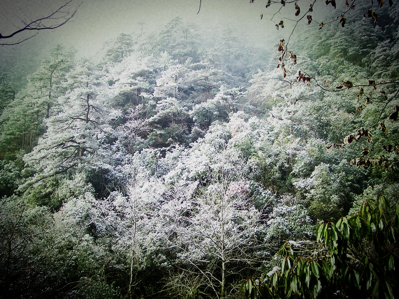 dscf0229_.jpg