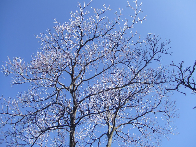 dscf0274_.jpg