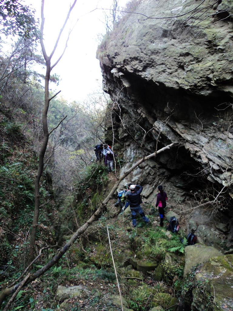 dsc03332.jpg
